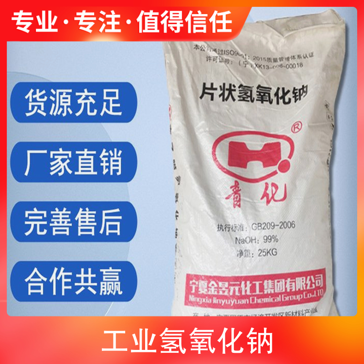 欧美大骚逼